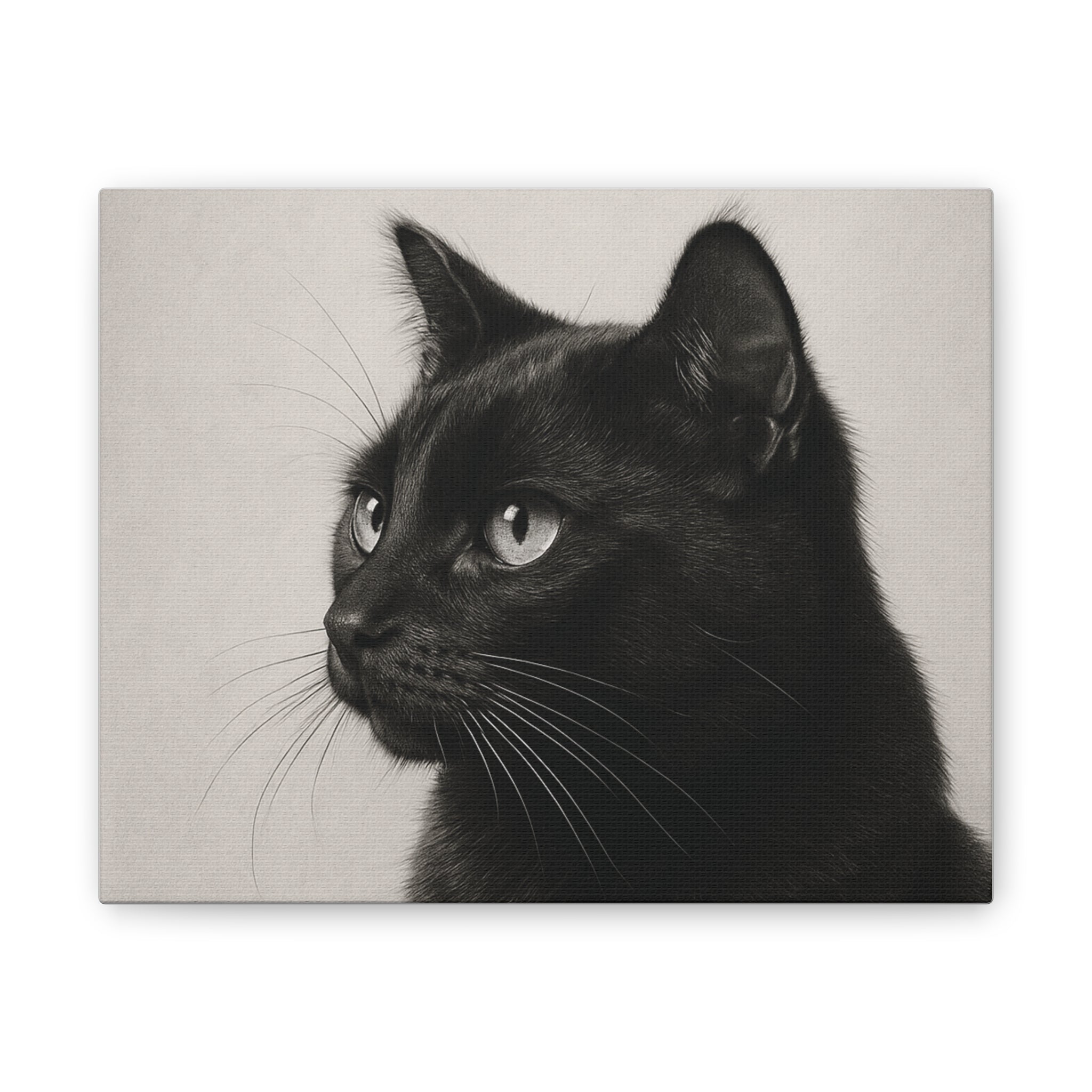 Black Cat Portrait Canvas — Stretched Wall Art
