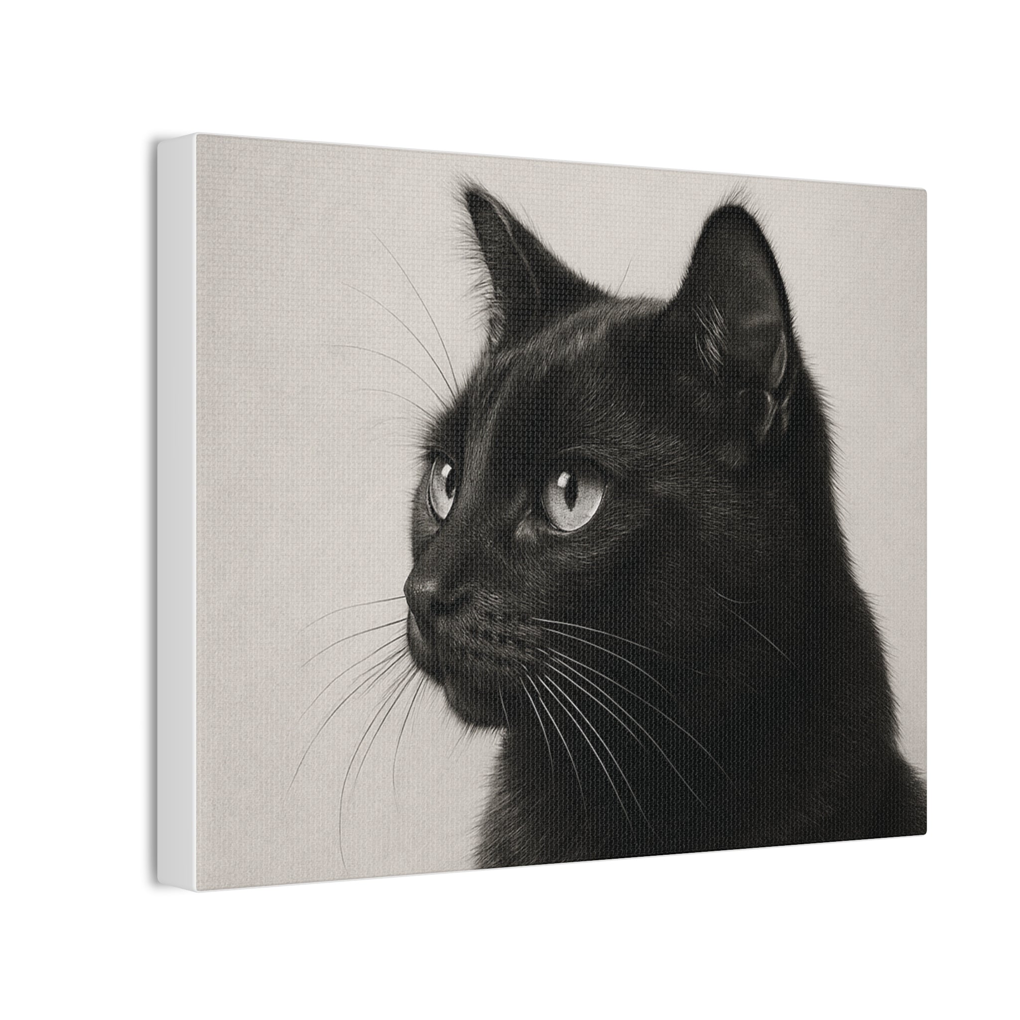 Black Cat Portrait Canvas — Stretched Wall Art