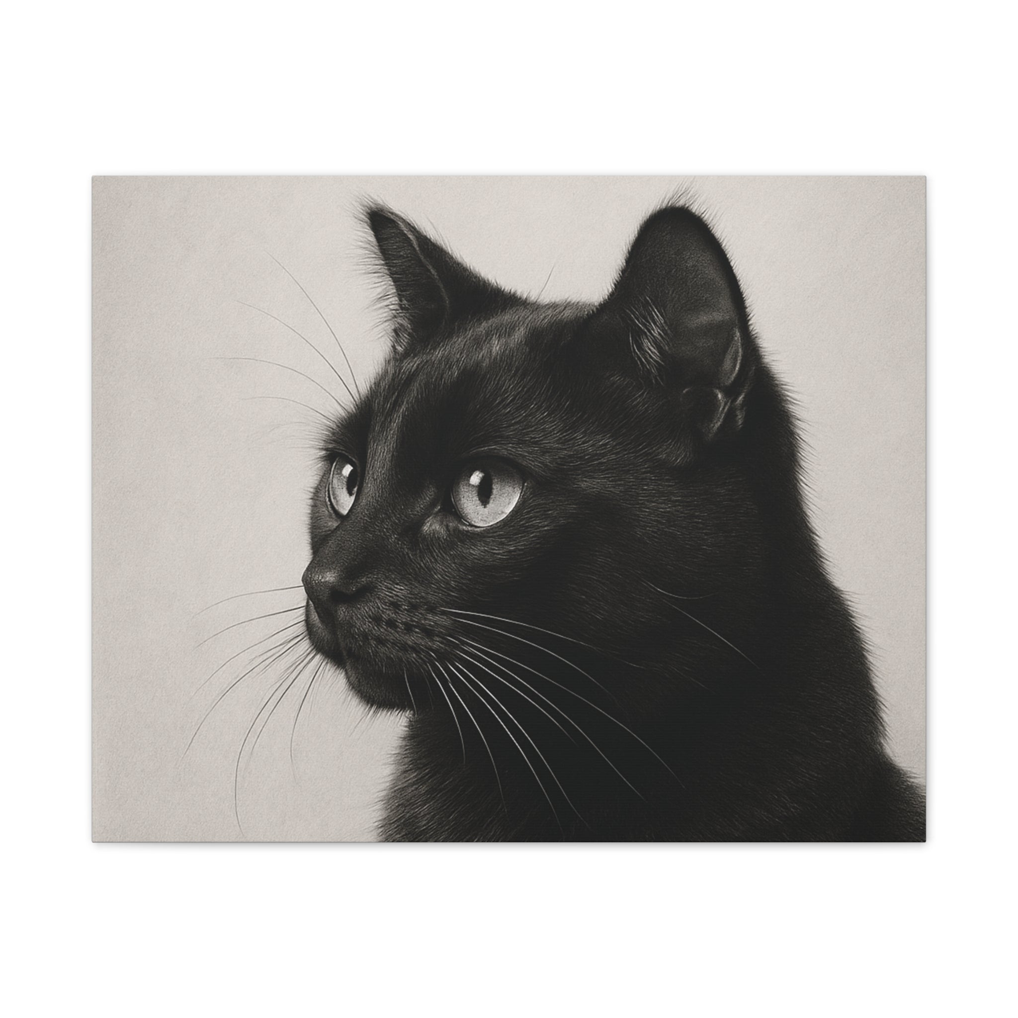 Black Cat Portrait Canvas — Stretched Wall Art
