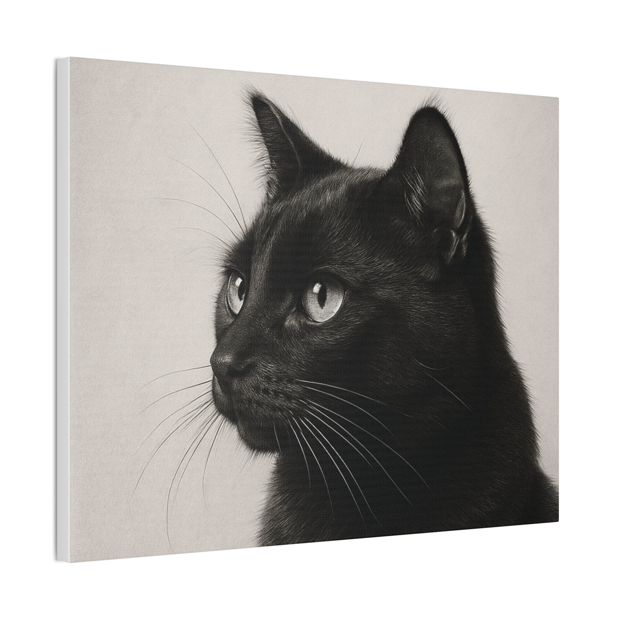 Black Cat Portrait Canvas — Stretched Wall Art